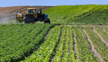 How Weather Affects Ukraine’s Agriculture
