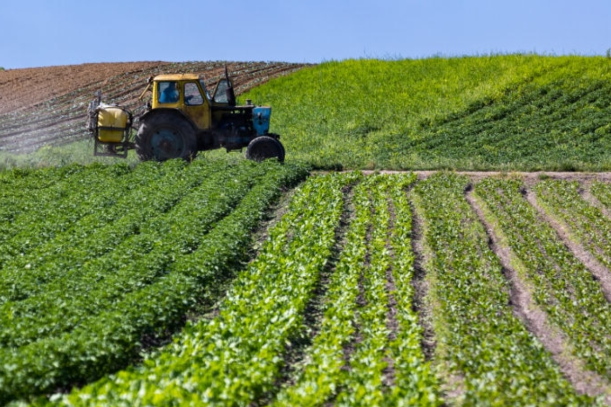 How Weather Affects Ukraine’s Agriculture